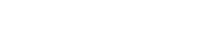 EssentEDGE logo